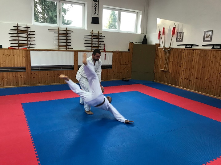 Aikido trénink technik