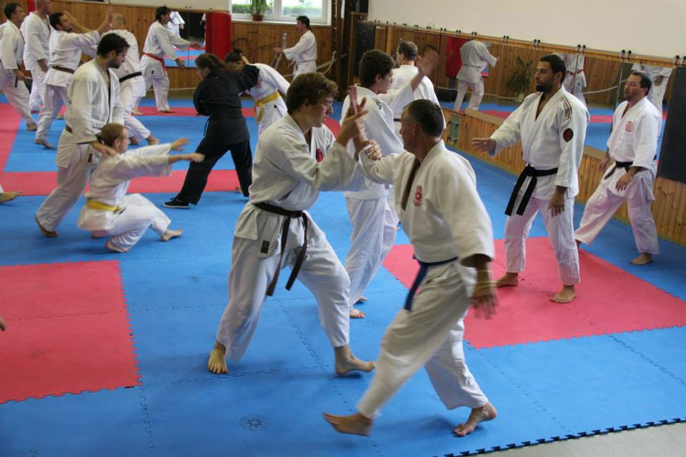Mezinárodní seminář SHIN-KYO